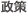 政策